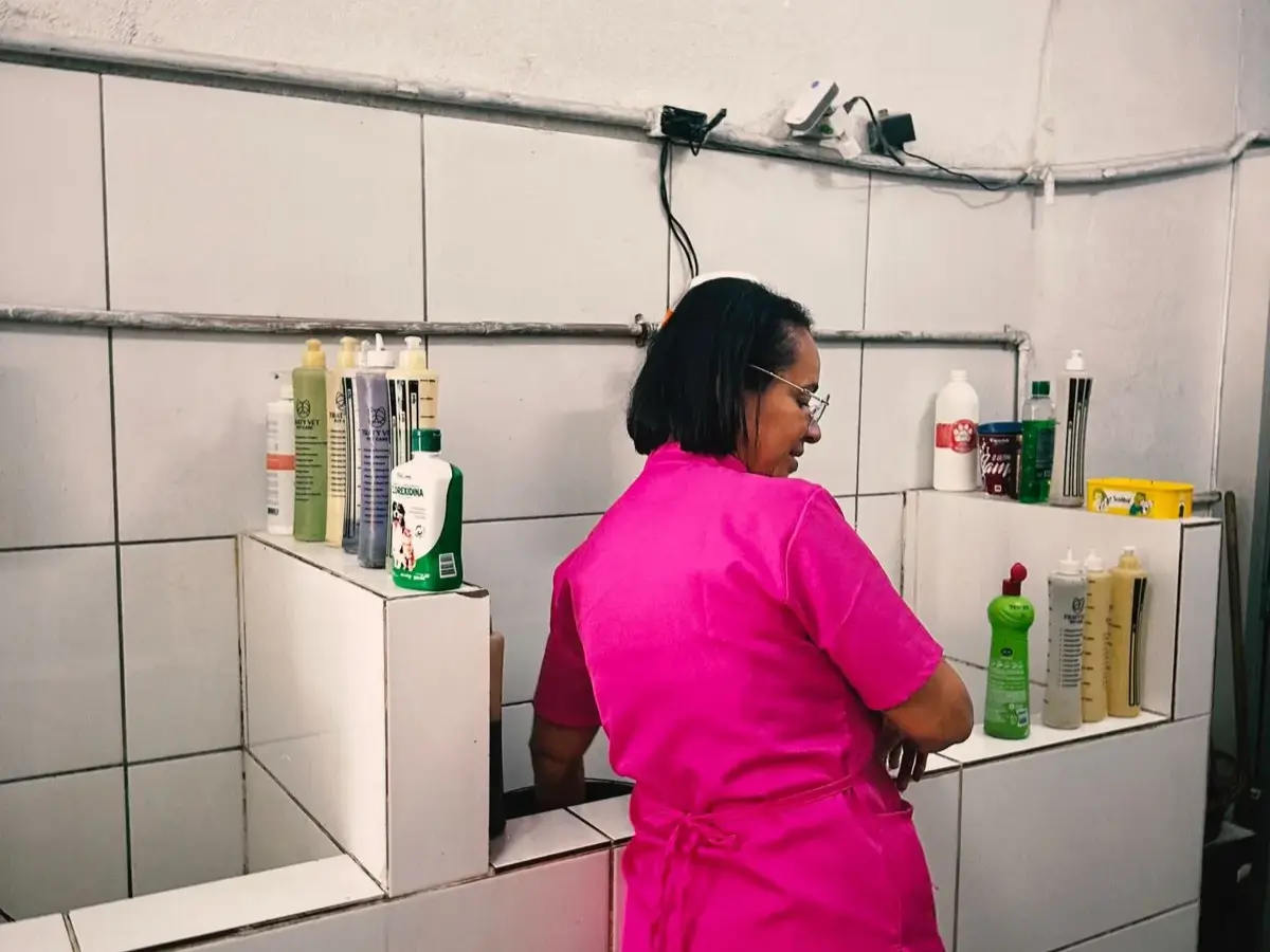 Equipe de banho e tosa atendendo um pet